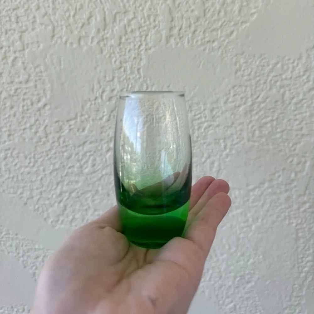 Carnival Cruise Green Ombre 5oz Shot Glass Souvenir Barware OS
